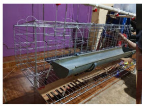 Kandang Ayam Petelur Cerdas: Integrasi IoT