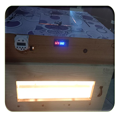 Penetas Telur otomatis