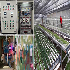 Hidroponik Berbasis IOT